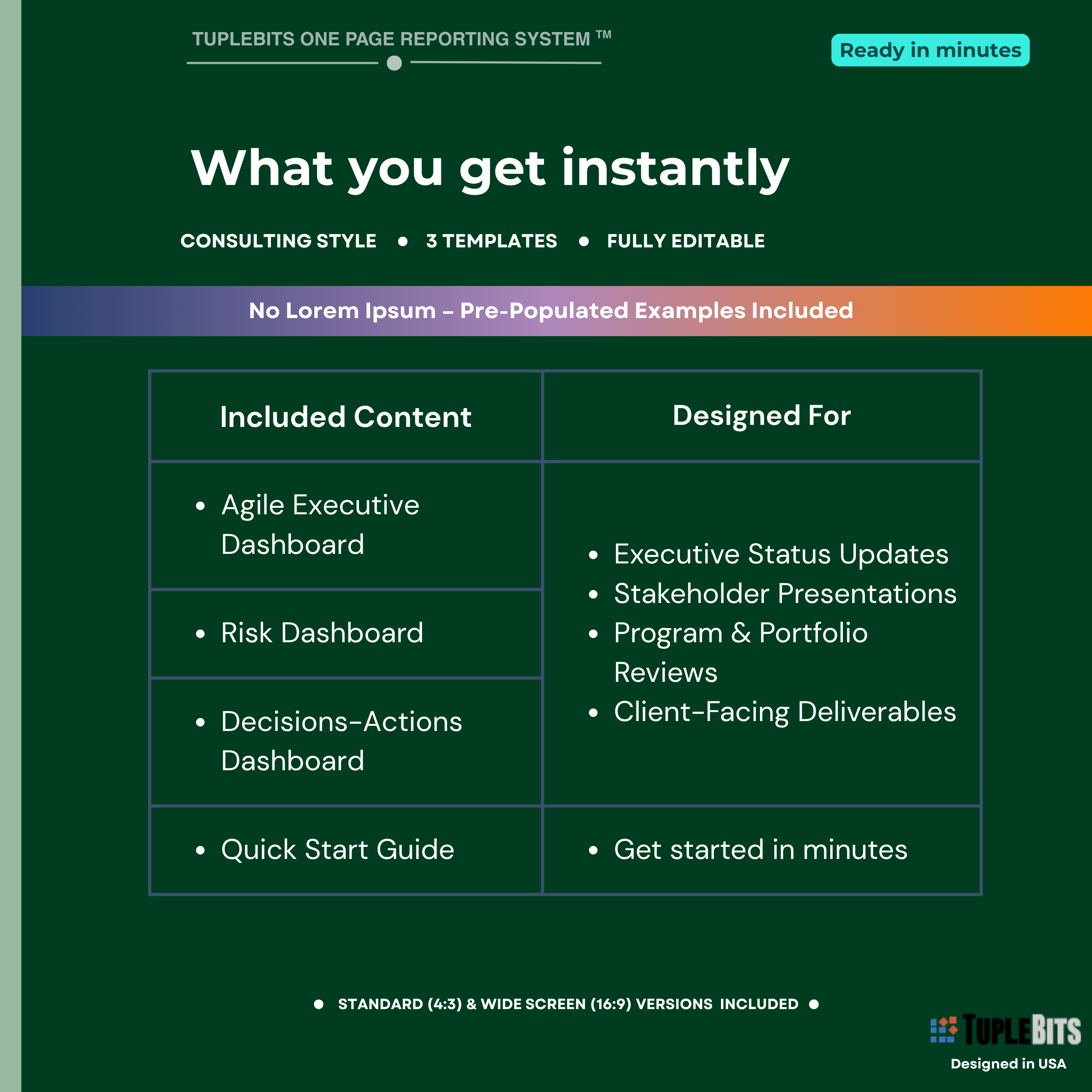 Agile executive bundle actions and decisions dashboard