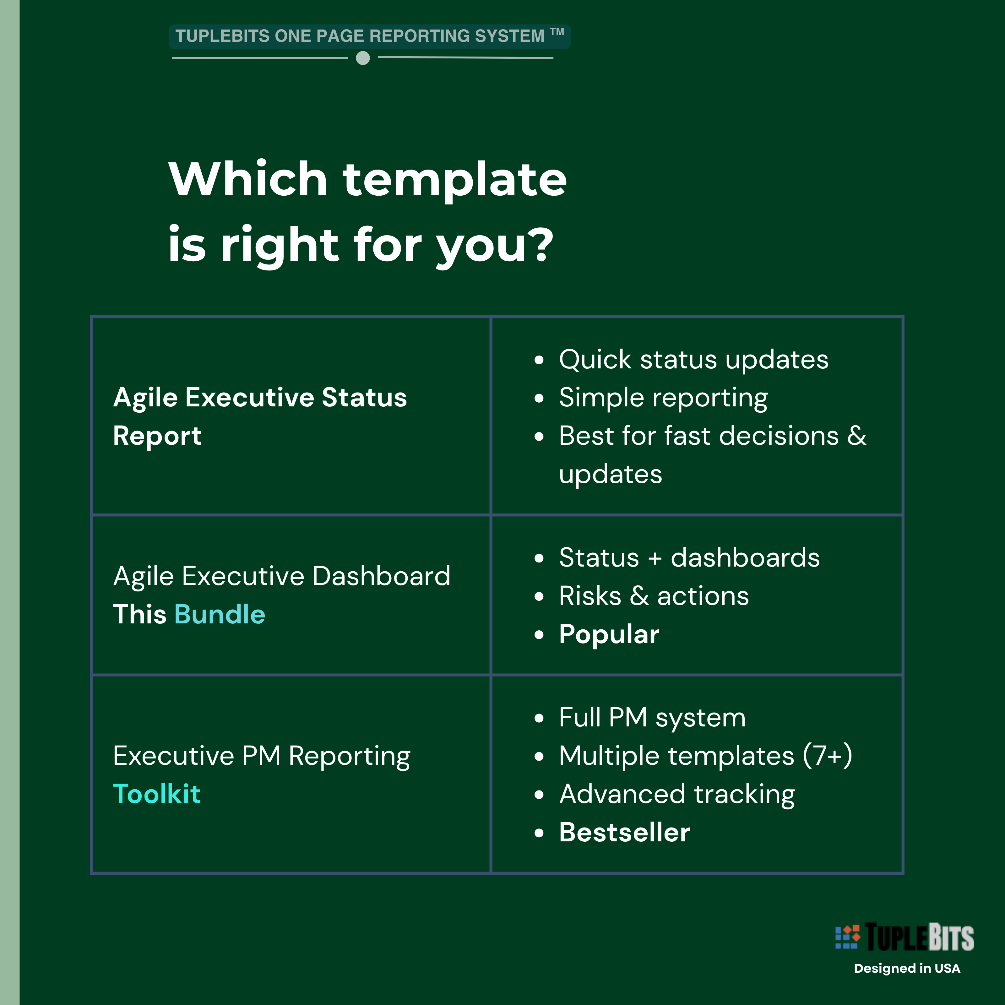 Agile executive bundle actions and decisions dashboard