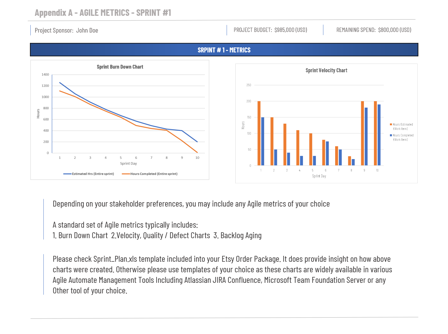 Agile Executive Status Template preview 3