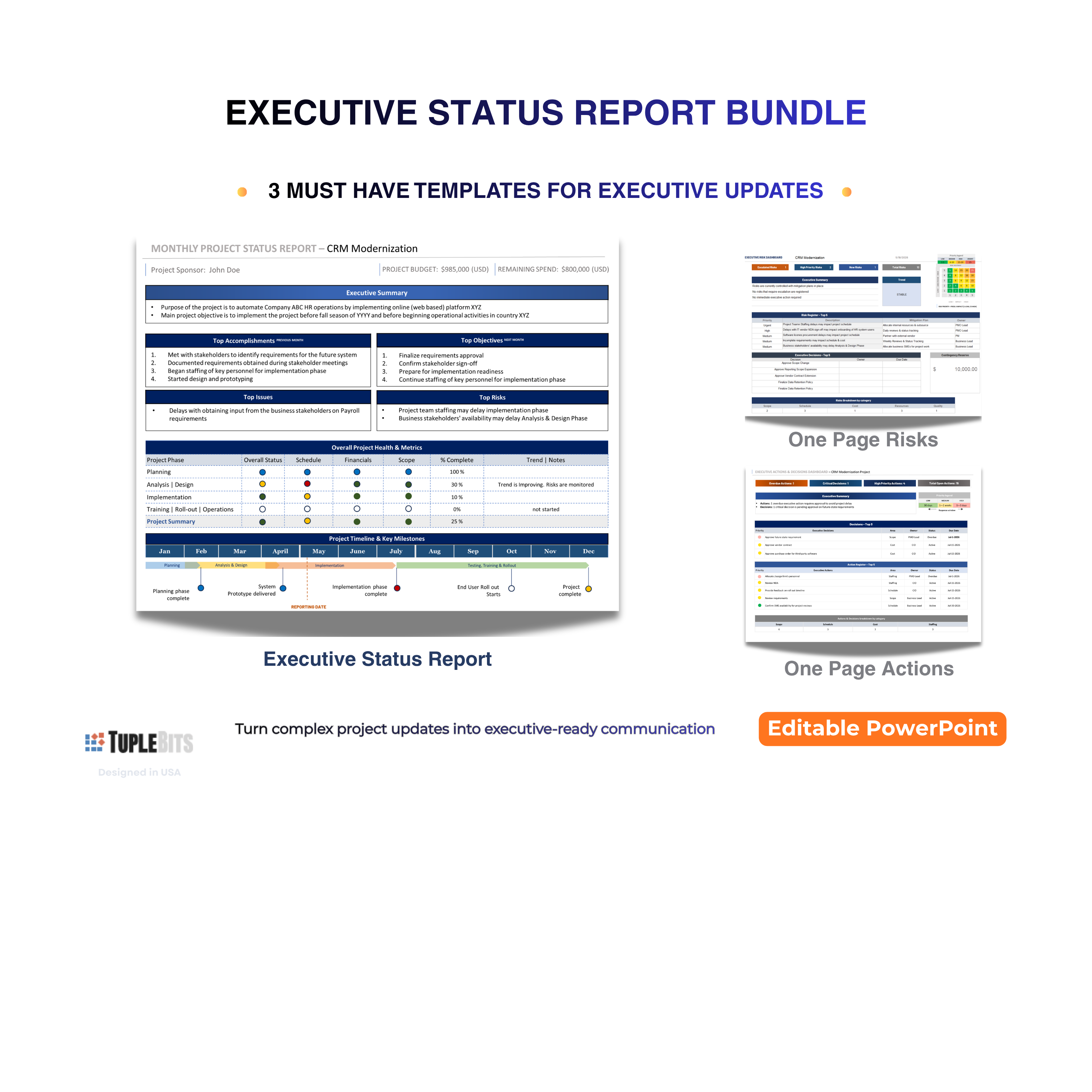 Executive Project Status Report Bundle preview