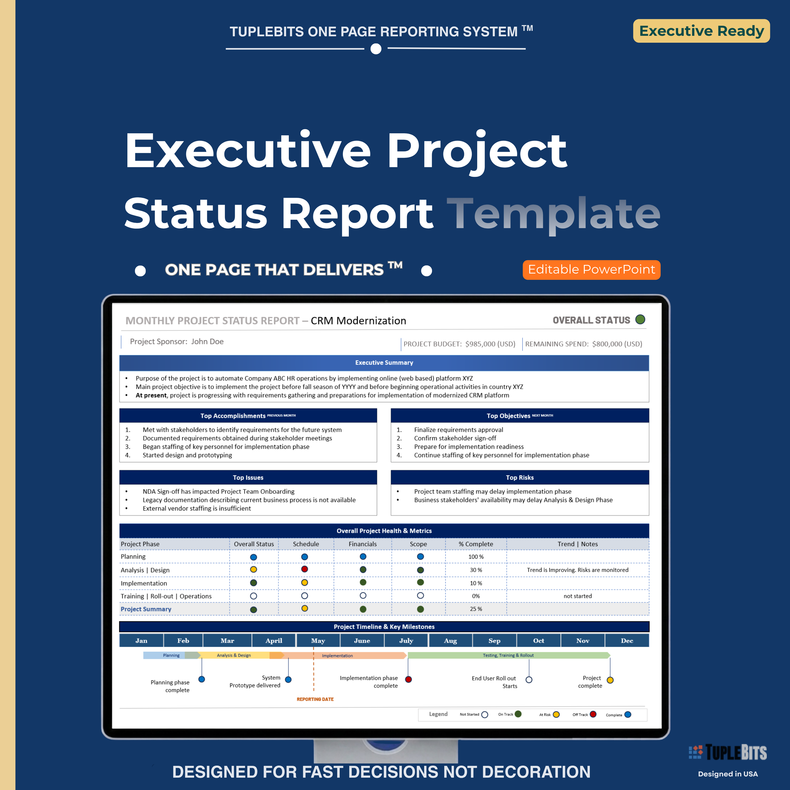 Executive Project Status Report Template preview