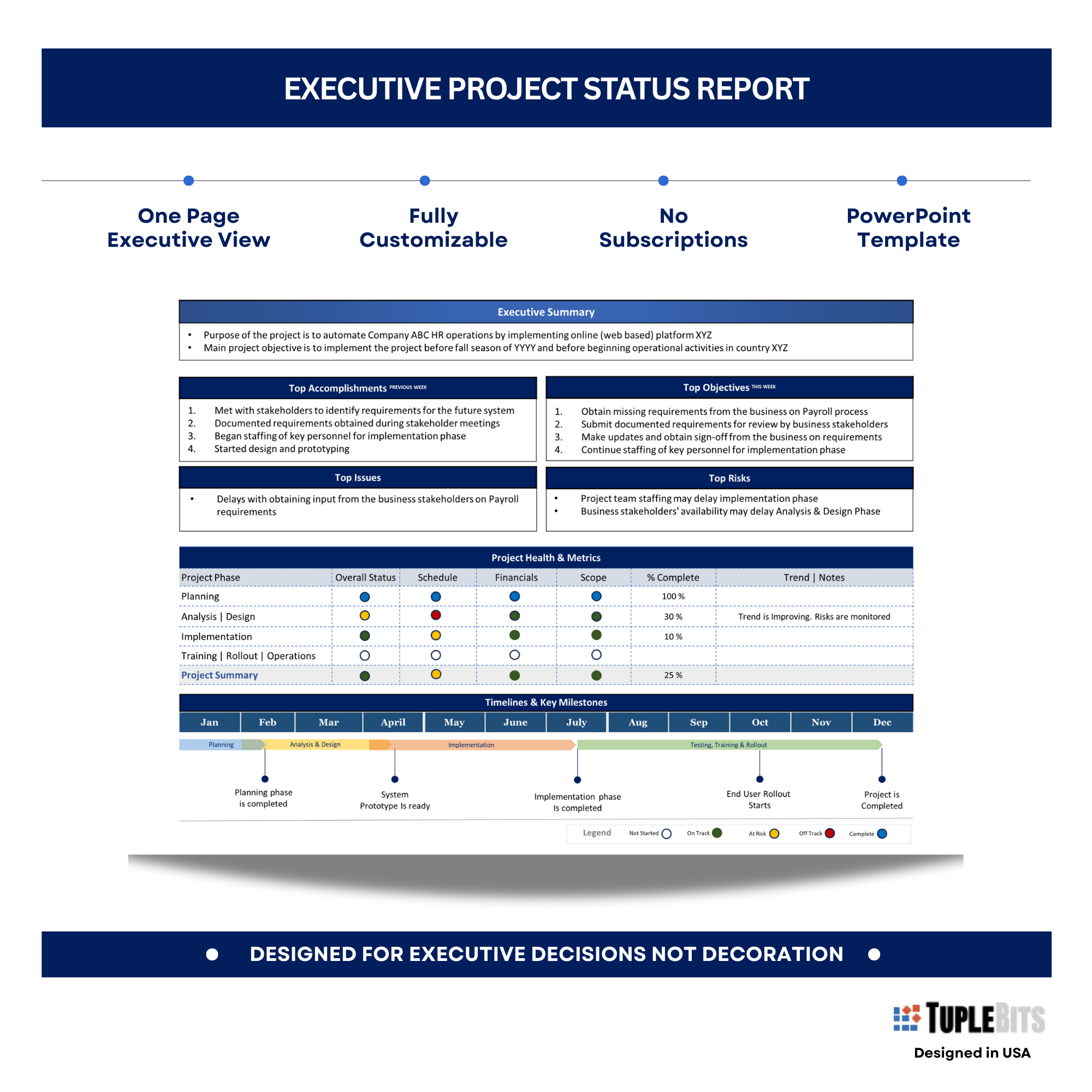 Executive Project Status Report Template preview