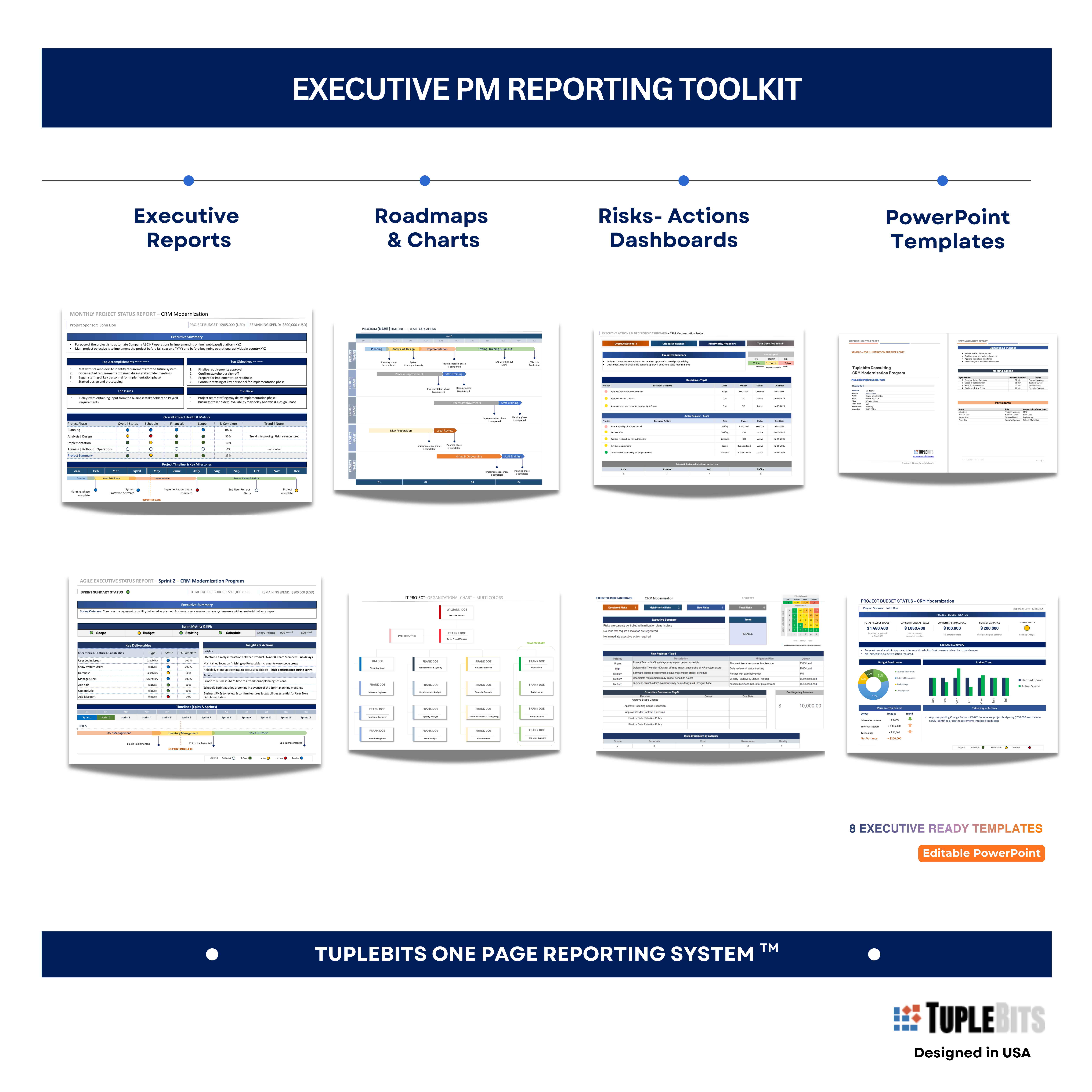 Executive PM Reporting Toolkit Template preview