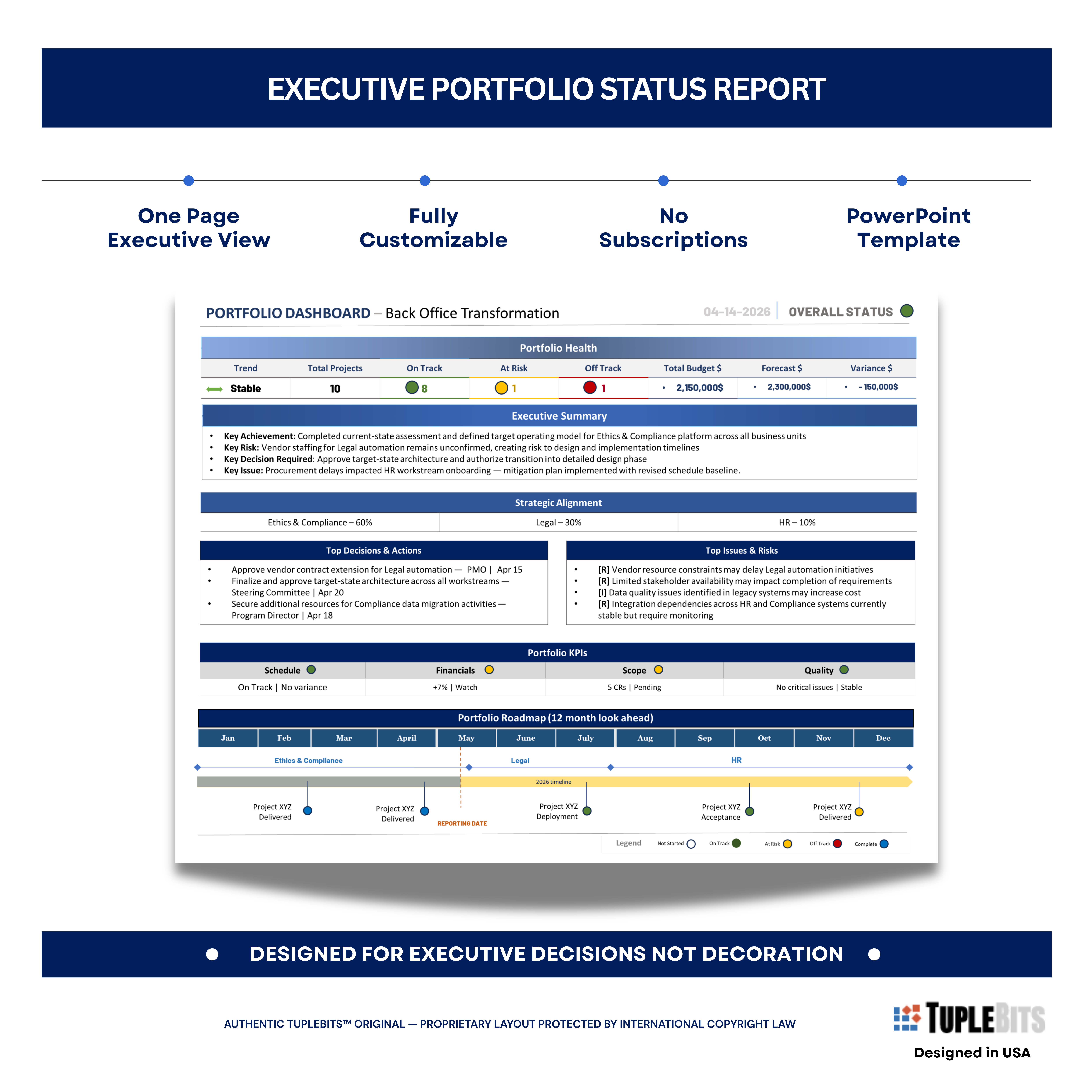 Program portfolio dashboard template preview