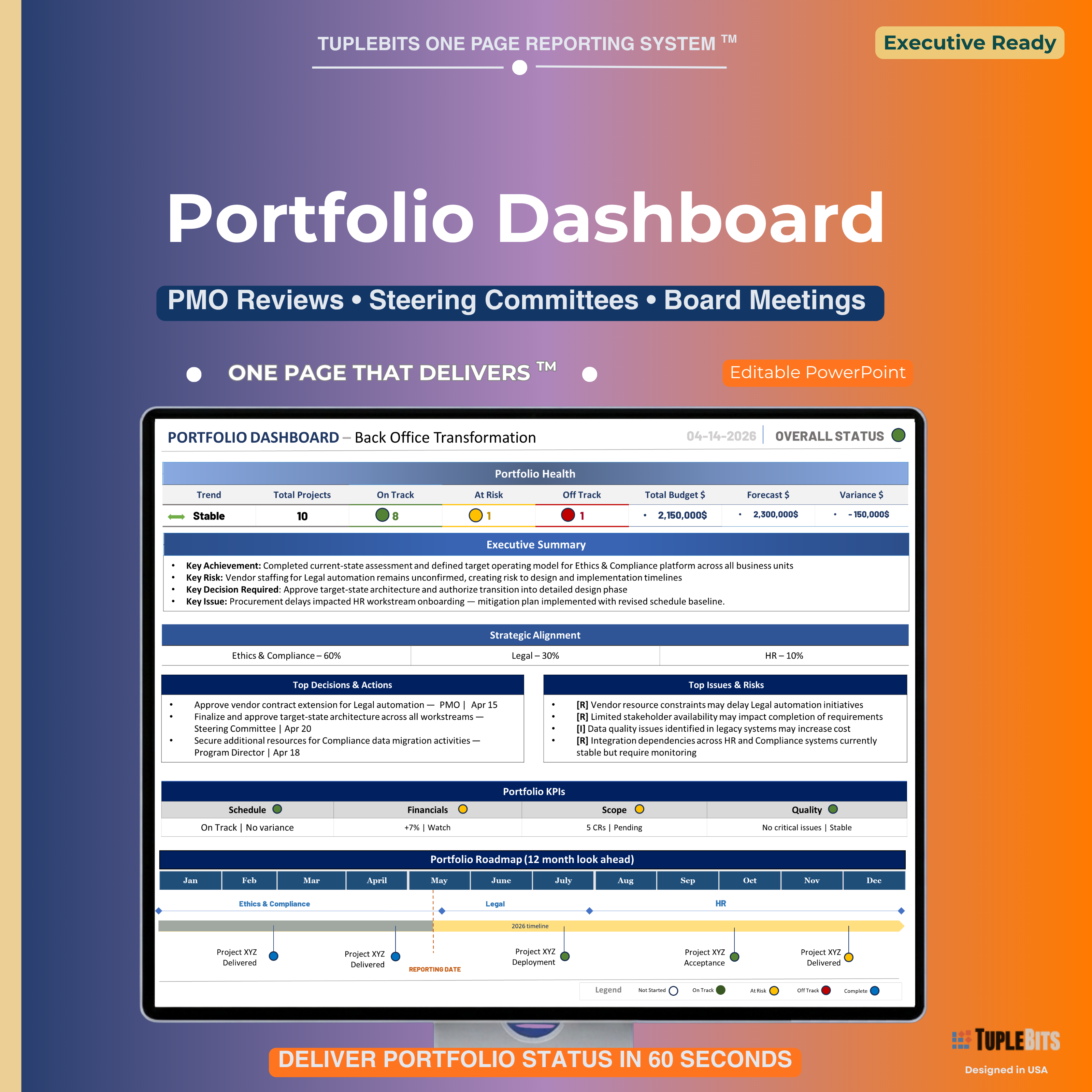 Program portfolio dashboard template preview