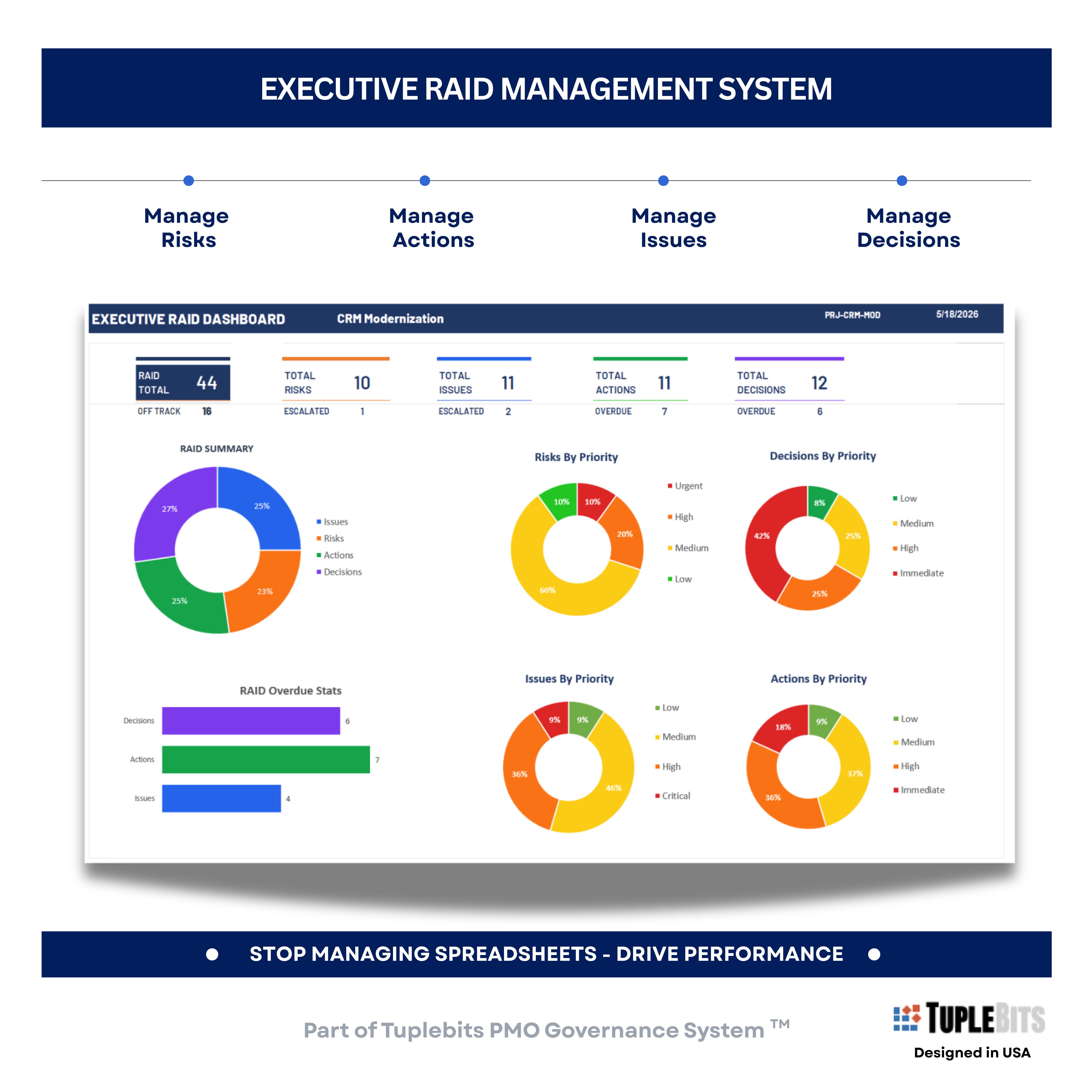 Program Milestone Roadmap Template preview